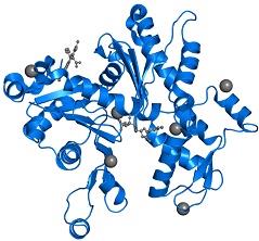 Molecular component5.jpg